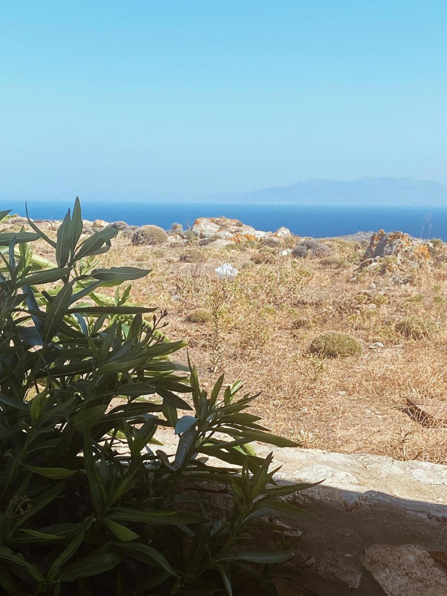 Naira Family Suites Mykonos Mykonos Town エクステリア 写真