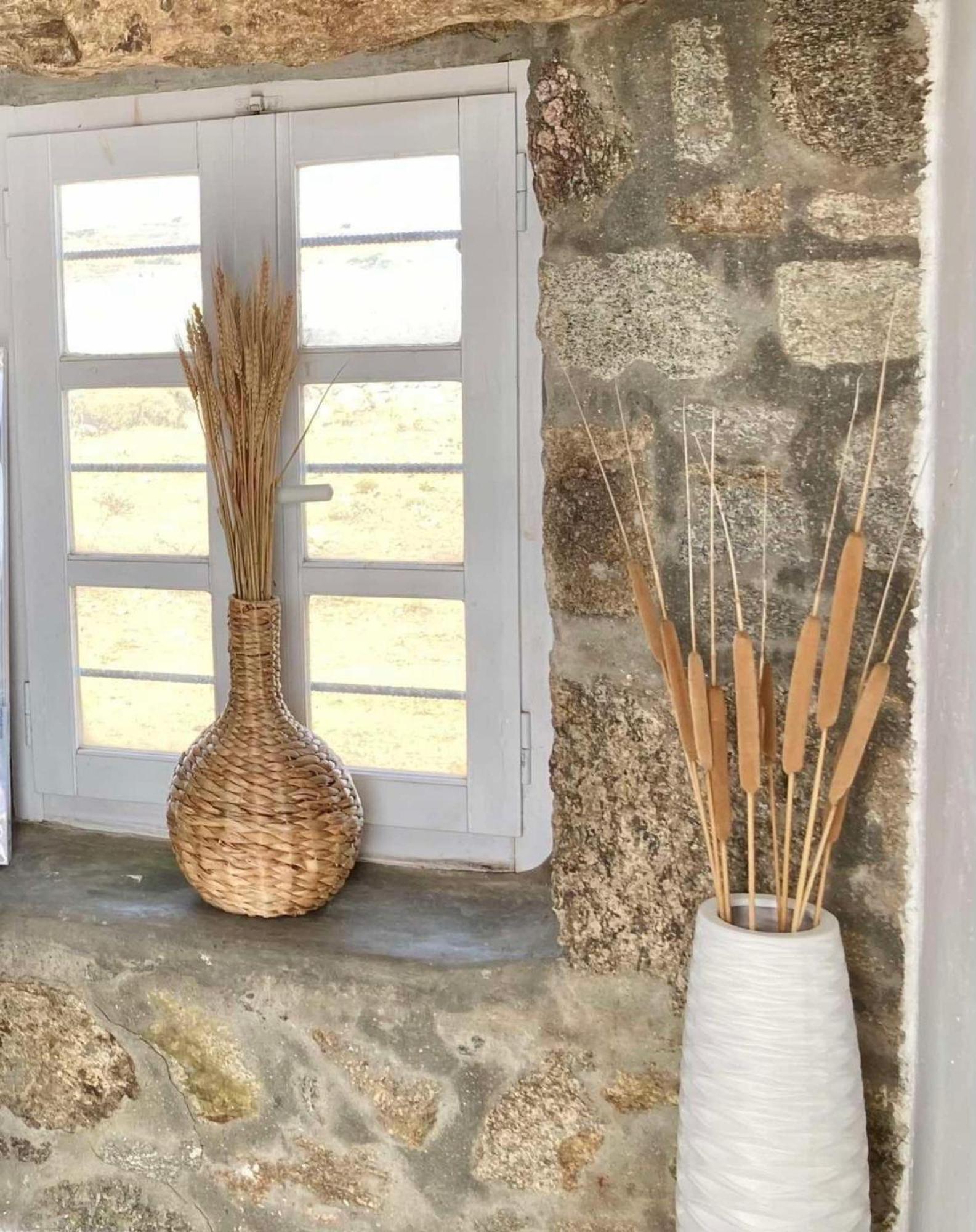 Naira Family Suites Mykonos Mykonos Town エクステリア 写真